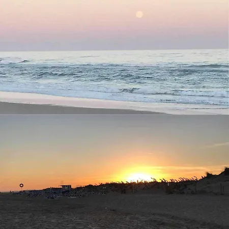 Seahorse House, T2 Santa Luzia *